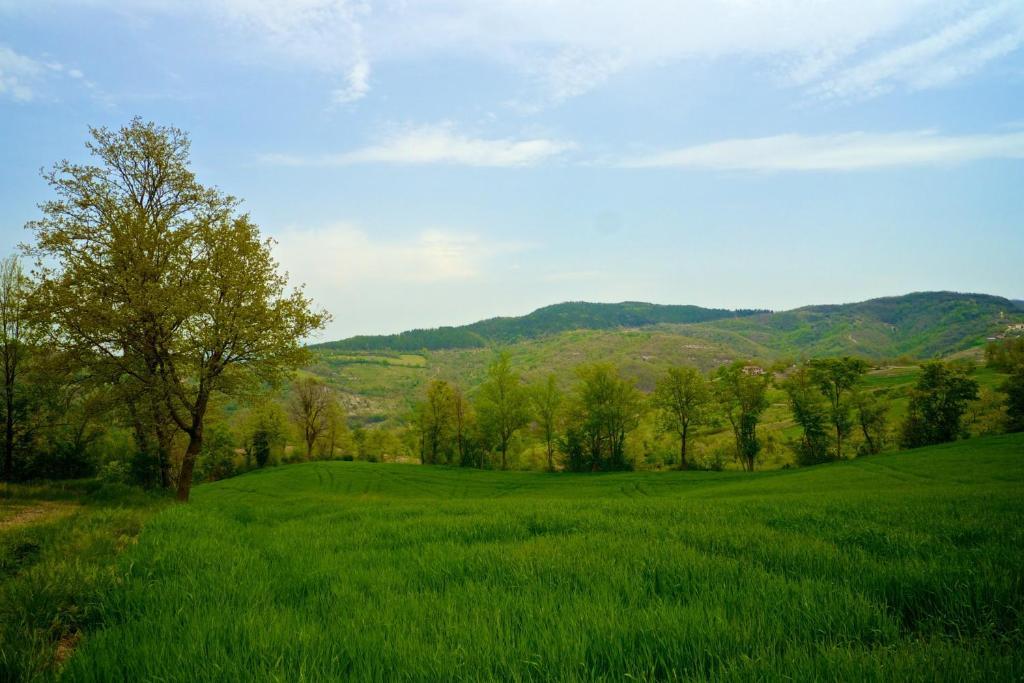 Agriturismo Montelovesco Brunetta Exterior photo