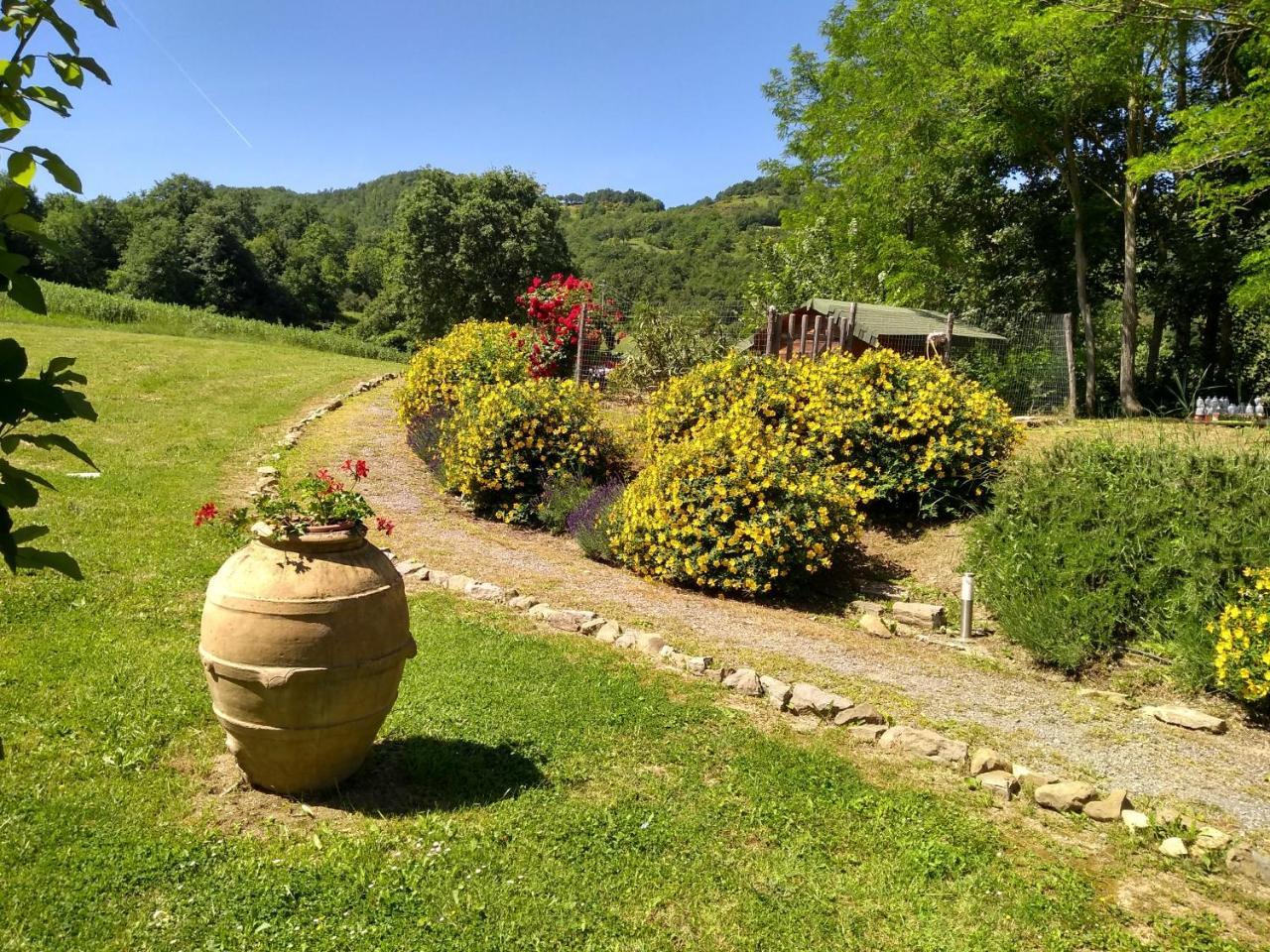 Agriturismo Montelovesco Brunetta Exterior photo